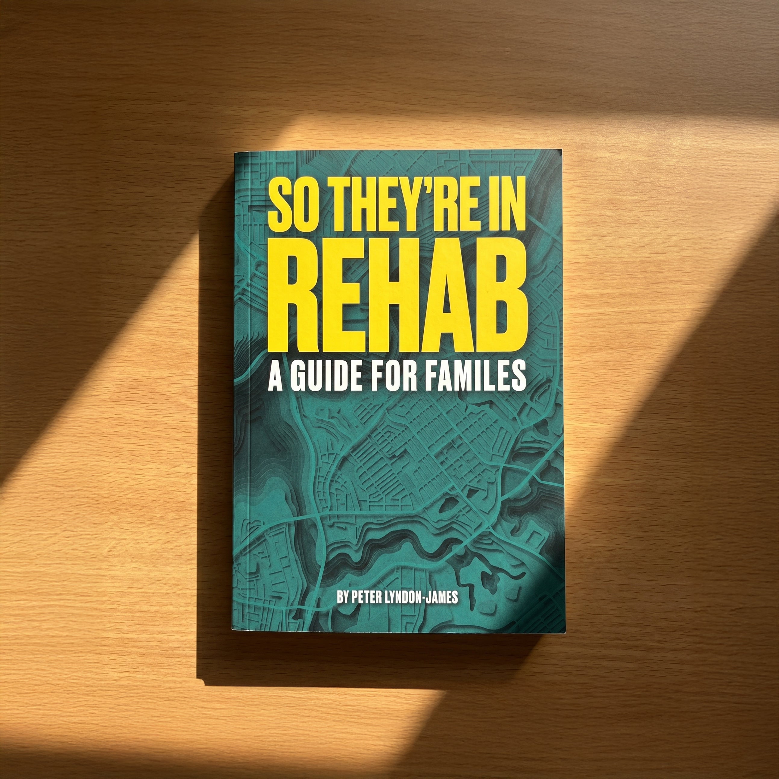 So They're in Rehab: A Guide for Families