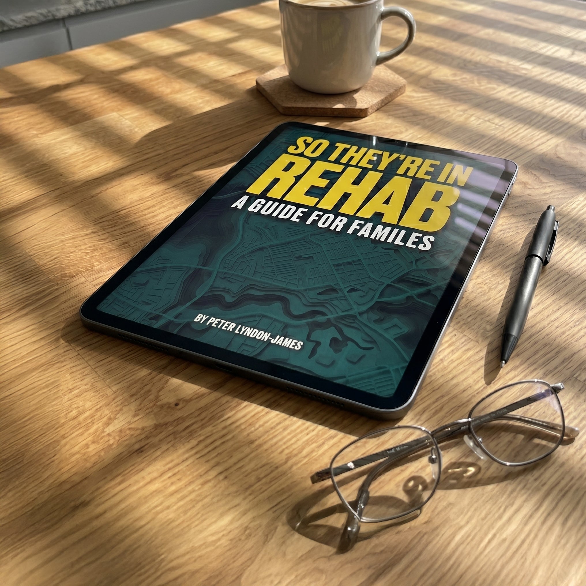 So They're in Rehab: A Guide for Families