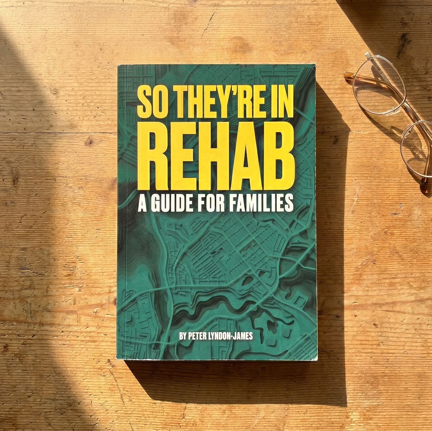 So They're in Rehab: A Guide for Families