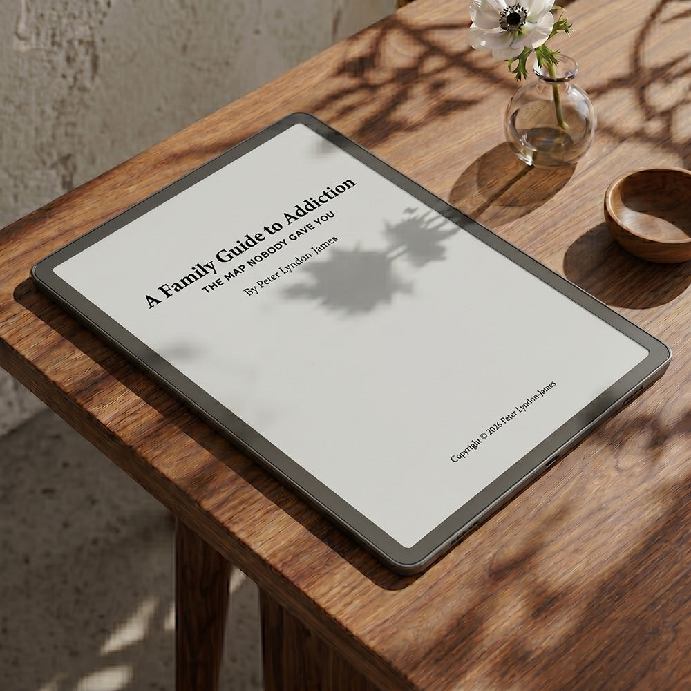 A Family Guide to Addiction: The Map Nobody Gave You